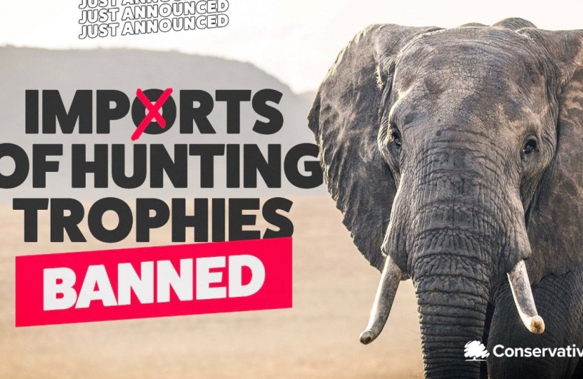 Trophy Hunting