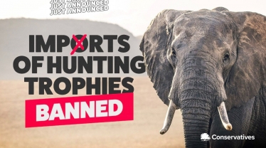 Trophy Hunting